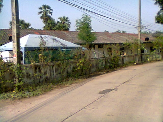 ขายที่ดิน อ.เขาย้อย จ.เพชรบุรี พร้อมบ้านและมีห้องเช่าให้อีก10ห้อง มี1ไร่28วาครับ