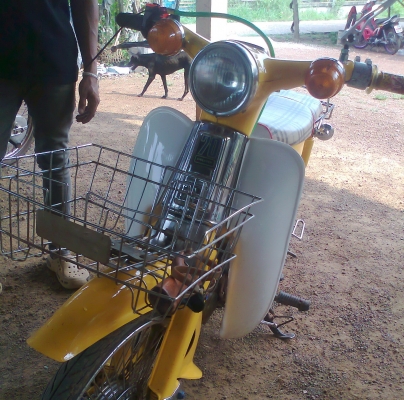 ขาย H0NDA C70 เครื่องdeam100 ขาย H0NDA C70 เครื่องdeam100