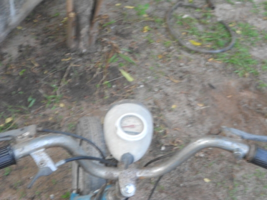 ขายฮอนด้า ลิตเติ้ล ขายฮอนด้า ลิตเติ้ล