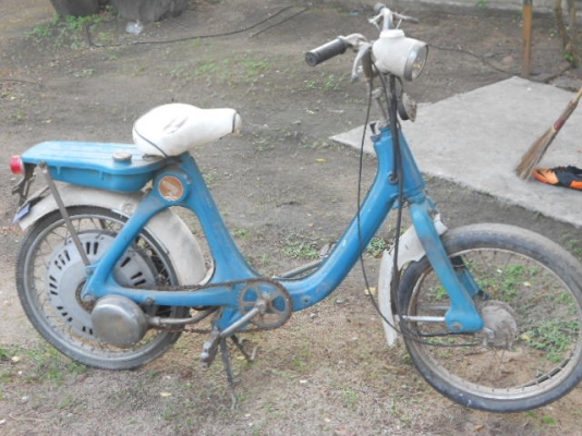 ขายฮอนด้า ลิตเติ้ล