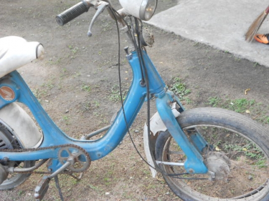 ขายฮอนด้า ลิตเติ้ล ขายฮอนด้า ลิตเติ้ล