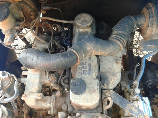 ขายอิแต๋น ขายอิแต๋น