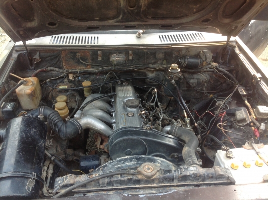 L200 มาแล้ว L200 มาแล้ว