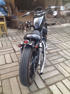 Harley davidson ปี2003 1200cc