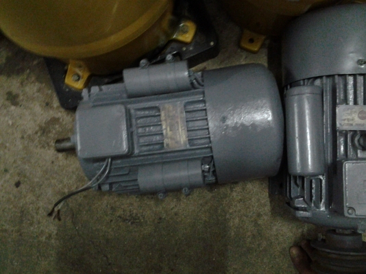 ขาย !! มอเตอร์ 3 hp. 220v. รอบ 1400 ยี่ห้อ จีน พร้อมใช้งาน ( รุ่นหนัก )