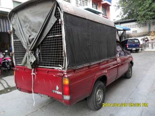 ขายรถกระบะ นิสสัน Big M ปี 92 เครื่องเดิม เบนซิล Z16 เกียร์ธรรมดา ภายในเบาะหนัง ไม่มีขาด แอร์เย็นฉ่ำ ตัวถังเดิม สีเต็ม ลอนกะบะสวย คัสซีสวย รถบางเดิม เครื่องดีเงียบๆ ช่วงล่างแน่นๆ ยางดี รถพร้อมใช้ ภาษี 57 ประกันชั้น 3