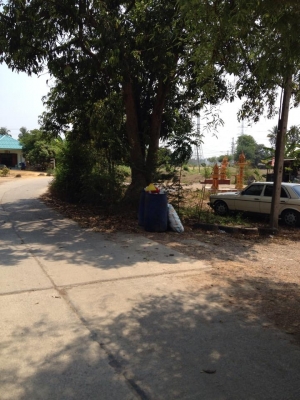 บ้านพักอาศัยชั้นเดียว ติดถนนหน้ากว้าง กว่า บ้านจัดสรร