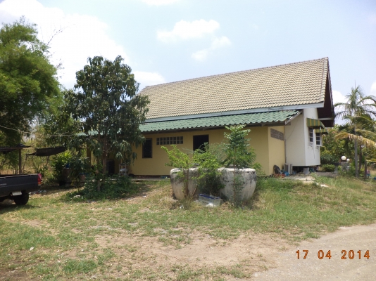 ต้องการขายบ้านพร้อมที่ดิน1ไร่1งาน ต้องการขายบ้านพร้อมที่ดิน1ไร่1งาน