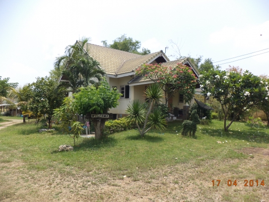 ต้องการขายบ้านพร้อมที่ดิน1ไร่1งาน ต้องการขายบ้านพร้อมที่ดิน1ไร่1งาน