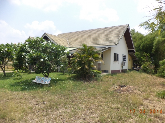 ต้องการขายบ้านพร้อมที่ดิน1ไร่1งาน ต้องการขายบ้านพร้อมที่ดิน1ไร่1งาน