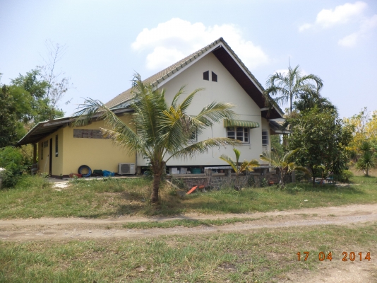 ต้องการขายบ้านพร้อมที่ดิน1ไร่1งาน ต้องการขายบ้านพร้อมที่ดิน1ไร่1งาน