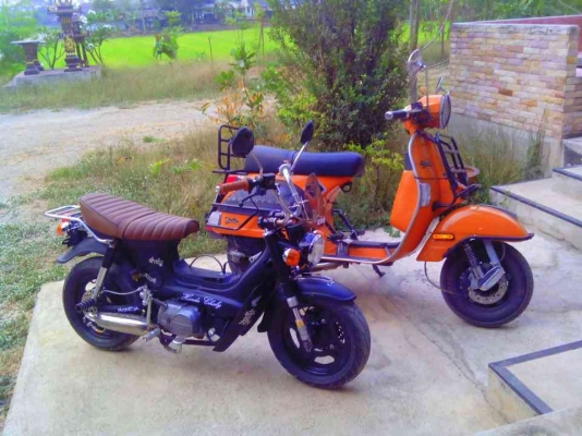 ขายชาลี