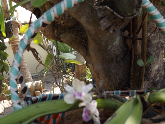 ขายรถตู้ราคาถูก คับ