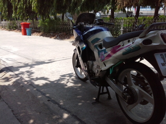 ขายเซอร์ปีโก้