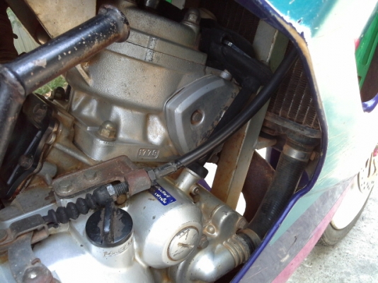 ขายเซอร์ปีโก้