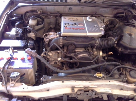 ขายไทเกอร์D4Dตัวท๊อป ขายไทเกอร์D4Dตัวท๊อป