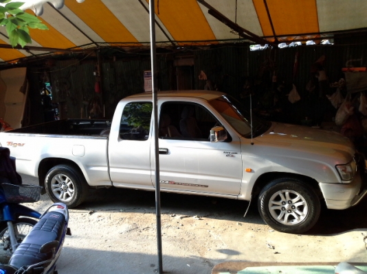 ขายไทเกอร์D4Dตัวท๊อป