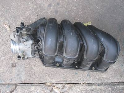 ขายลิ้นปีกผีเสื้อaltis1.8