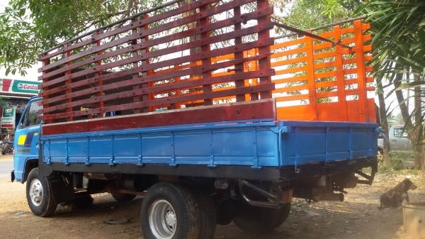 ขาย 6ล้อ isuzu npr 115  ห้างแท้