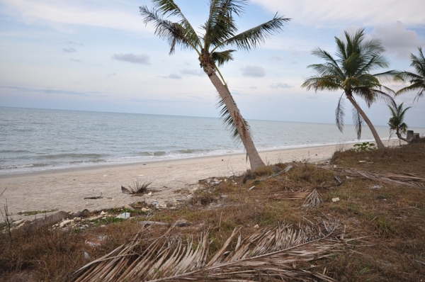 ขาย .ที่ติดทะเล สวย ๆ หน้าติดทะเล . หลังติดถนน 1-3ไร่