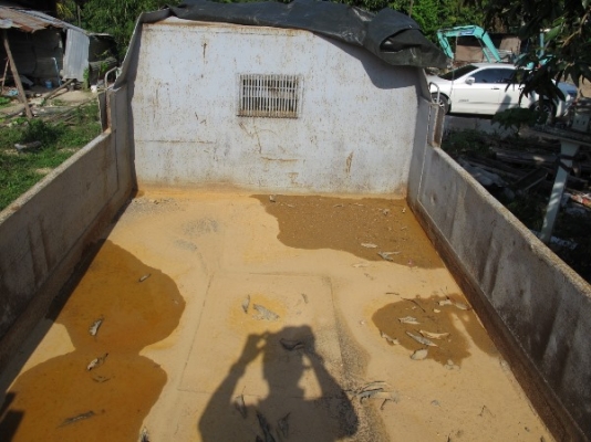 หัวยาว 6 ล้อ ISUZU TXD50 ดั้มพ์