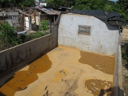 หัวยาว 6 ล้อ ISUZU TXD50 ดั้มพ์