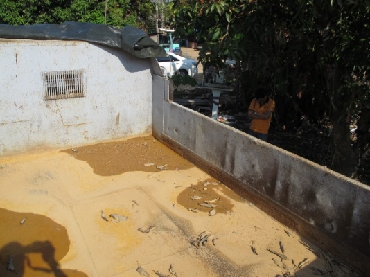 หัวยาว 6 ล้อ ISUZU TXD50 ดั้มพ์