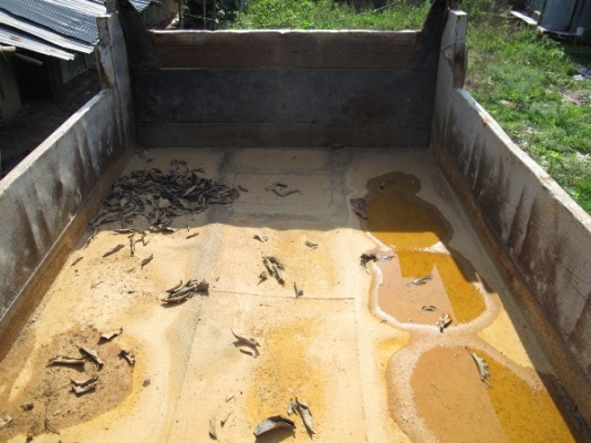 หัวยาว 6 ล้อ ISUZU TXD50 ดั้มพ์