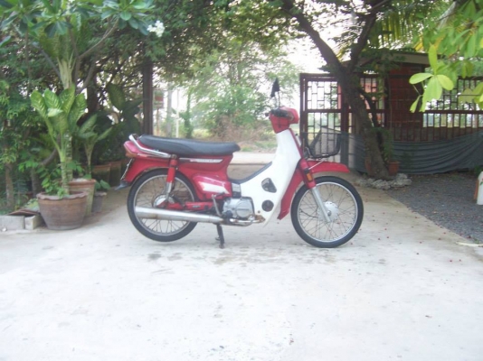 ดรีมคุรุสภาสีแดง สภาพดีมาก สวยๆ ทะเบียนครบ+เอกสารพร้อมโอนครบ