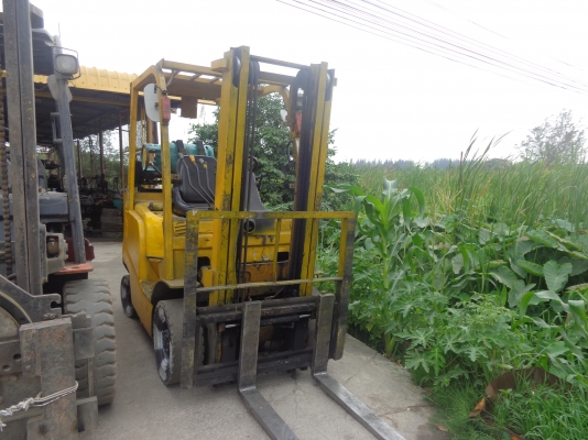 ขายรถฟอล์คลิฟท์ TCM FG15T13