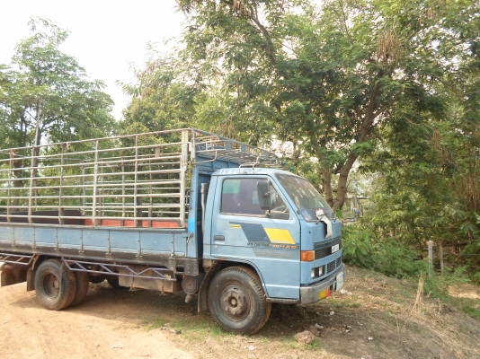 ขายด่วนอีซูซุ115npr แท้ดเดิมๆครับรถพร้อมใช้งาน