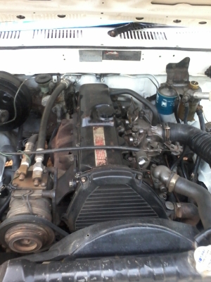 ไมตี้หัวเดียว สวยๆ พร้อมทุกอย่าง ราคา109000