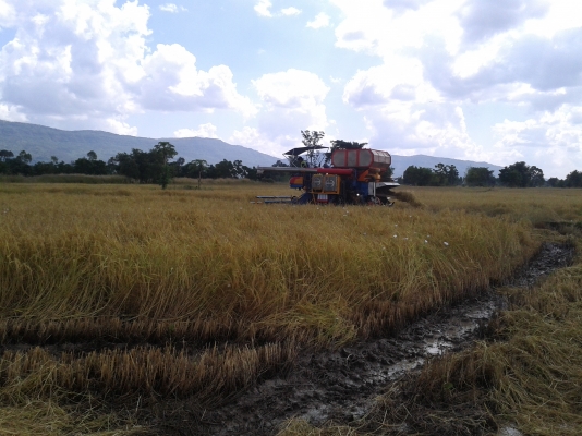 ไปอยู่เพชรบูรณ์แล้วครับ ขอบคุณTruck2hand ครับ