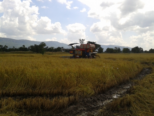 ไปอยู่เพชรบูรณ์แล้วครับ ขอบคุณTruck2hand ครับ
