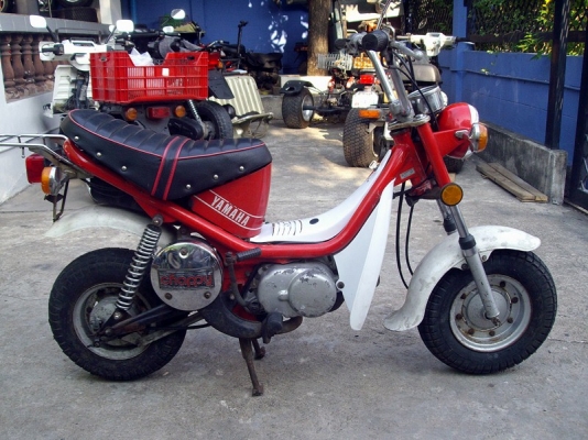 *** ขาย Chappy มือสองญี่ปุ่น ***