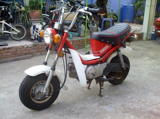 *** ขาย Chappy มือสองญี่ปุ่น ***