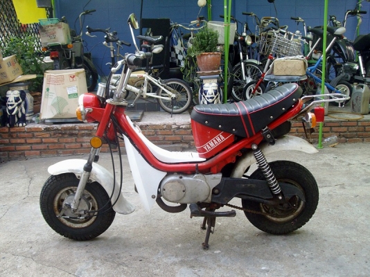 *** ขาย Chappy มือสองญี่ปุ่น ***