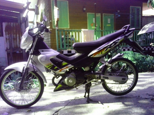 ขายโชนิกตัวไมล์ขาว