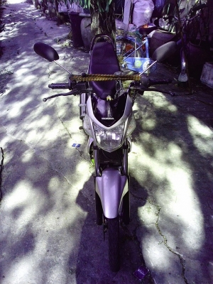 ขายโชนิกตัวไมล์ขาว