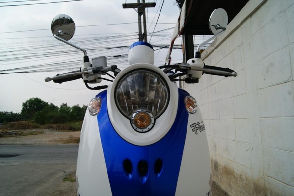 ขาย ฟีโน่ พ.ค 56 21500 ขาย ฟีโน่ พ.ค 56 21500