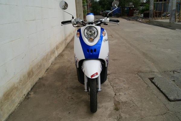 ขาย ฟีโน่ พ.ค 56 21500 ขาย ฟีโน่ พ.ค 56 21500