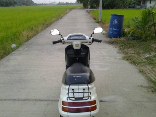 ขายป๊อบDioสถาพพร้อมใช้ ขายป๊อบDioสถาพพร้อมใช้