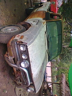 ช้างเหยียบ ตามสภาพ