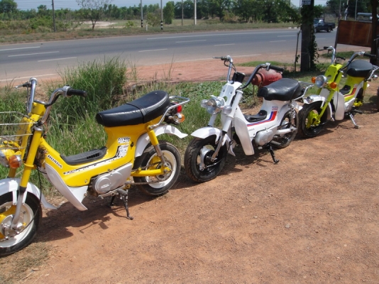 ขาย ชาลี เครื่องเดิม ( ทำสีใหม่ ) มีให้เลือก 3 คัน ขาย ชาลี เครื่องเดิม ( ทำสีใหม่ ) มีให้เลือก 3 คัน