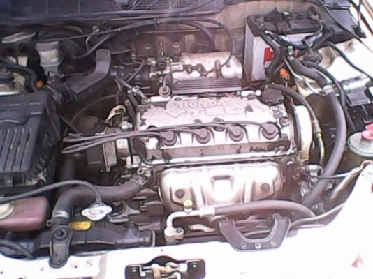 ซีวิคตาโต โฉม 96 สีทอง ราคา 145,000.- ซีวิคตาโต โฉม 96 สีทอง ราคา 145,000.-