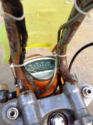 +++ ขาย Chaly cf50 แต่งสวย ราคาลดได้ +++