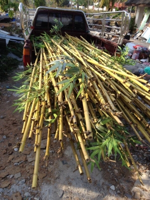 ขายไม้ไผ่ประดิฐ ถูกๆ ยาว3-4 เมตร