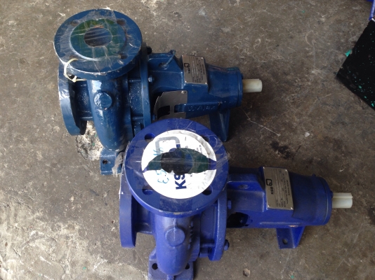 ขายหัวปั้มน้ำหอยโข่ง KSB made in Australia ใบพัดทองเหลือง แกนเพลาสแตนเลส ขนาดเข้า 2.5 นิ้ว ออก 2 นิ้ว ของใหม่ไม่เคยใช้งานครับ มีหลายตัว