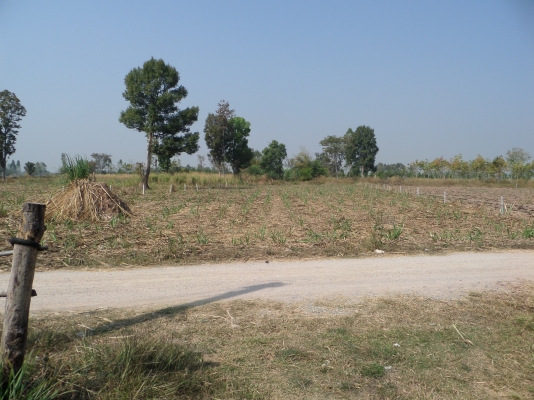 ขายที่ดินอยู่อาศัยพร้อมที่ดินโฉนดทำกิน 12 ไร่ 2 งาน ราคา 1,800,000 บาท