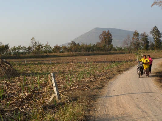 ขายที่ดินอยู่อาศัยพร้อมที่ดินโฉนดทำกิน 12 ไร่ 2 งาน ราคา 1,800,000 บาท ขายที่ดินอยู่อาศัยพร้อมที่ดินโฉนดทำกิน 12 ไร่ 2 งาน ราคา 1,800,000 บาท